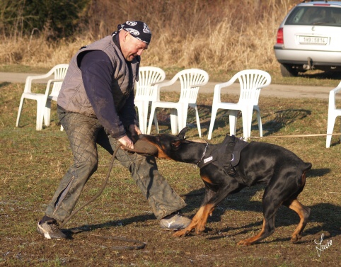 The christmas training 27.12.2006